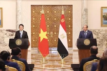 Vietnamese State President Luong Cuong (L) and Egyptian President Abdel Fattah El-Sisi meet with the press to inform the outcomes of their talks on August 5 in Cairo. (Photo: VNA)