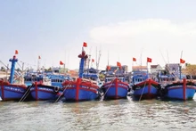 Quang Ngai Province strengthens inspection and control of fishing vessels entering and leaving ports to combat IUU fishing. (Photo: LUU HUONG)
