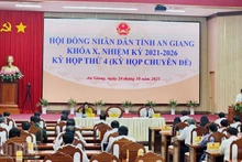 An overview of the meeting