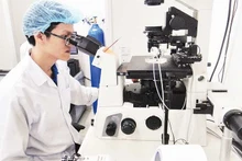 Scientific research activities at Viet Nam National University, Ho Chi Minh City.