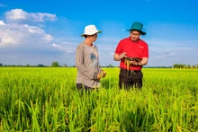 Agribank’s capital contributes to changing the face of Vietnamese agriculture.