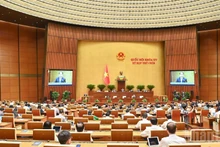 An overview of the discussion session in the hall on the draft resolution amending and supplementing a number of articles of the 2013 Constitution, June 13. (Photo: DUY LINH)