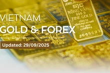 Infographic: Domestic and world gold prices simultaneously set new records