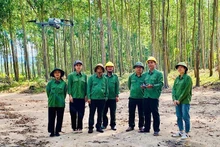 Using drones to patrol forests at Song Kon Forestry Company Limited. (Photo: GIZ/VU THANH)