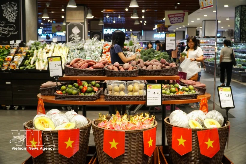OVs encouraged to expand distribution channels for Vietnamese goods abroad