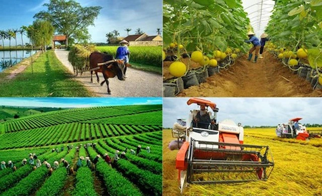 Good Posture For Rural Development Development strategy of rural occupations and economic development approved