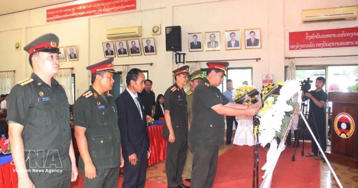 https://en-cdn.nhandan.vn/images/3c6b1d7d6cd77f0dc549536a41e2cb9b914b3e970a8d0aec6f5c47b7cae7a5b57a8267668b1cf6cb1719f603c473f3947637c0533a20f20b38fd6405467343dc/vnanet-remains.jpg.webp