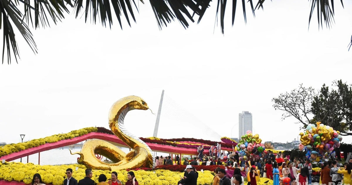[In Pictures] Da Nang residents enjoy spring in nice weather