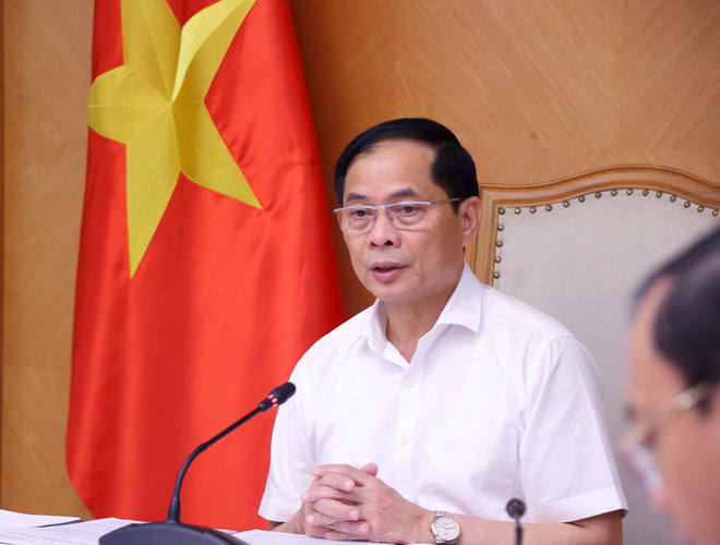 Deputy Prime Minister and Minister of Foreign Affairs Bui Thanh Son. (Photo: VNA)
