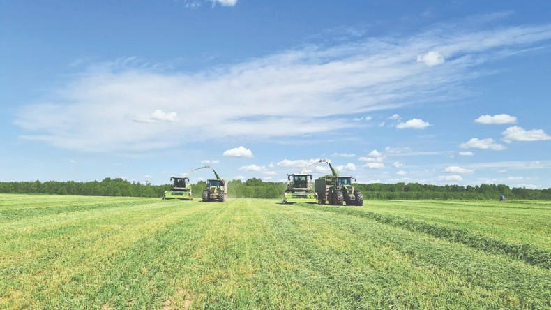 Harvesting in TH Group’s fields in Kaluga.