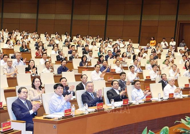 Participants in the conference (Photo: VNA) Participants in the conference (Photo: VNA)