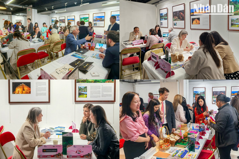 Tourism businesses from Viet Nam and France actively engaged in meetings, exchanged information, and explored cooperation opportunities during the networking session held on the afternoon of May 12. Tourism businesses from Viet Nam and France actively engaged in meetings, exchanged information, and explored cooperation opportunities during the networking session held on the afternoon of May 12.