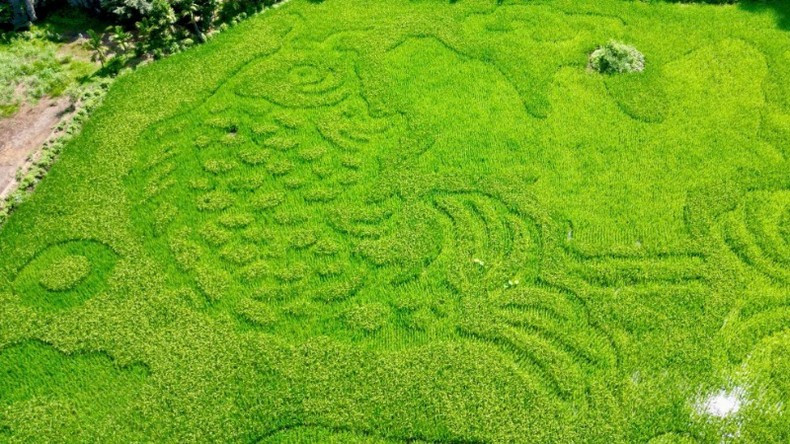 Close-up of the rice plant artwork.