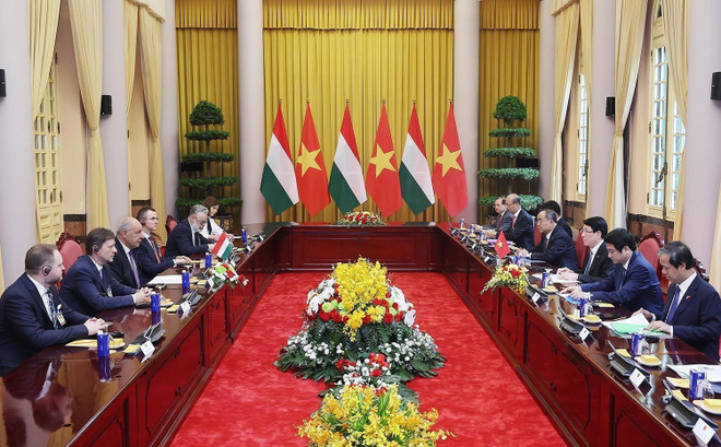 The talks between Vietnamese President Luong Cuong and Hungarian President Sulyok Tamas in Ha Noi on May 28 (Photo: VNA)