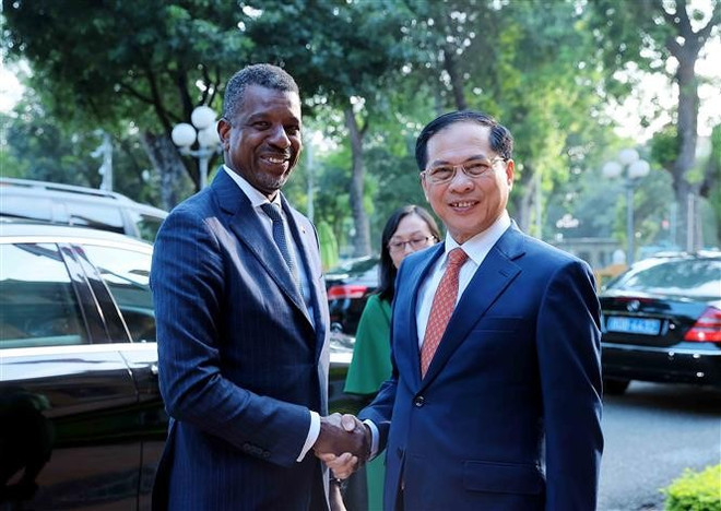 Deputy Prime Minister and Foreign Minister Bui Thanh Son (R) welcomes Vince Henderson, Minister for Foreign Affairs, International Business, Trade and Energy of the Commonwealth of Dominica in Ha Noi on May 28. (Photo: VNA)