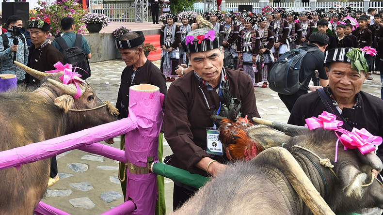 The ceremony honours the buffaloes that have worked side by side with farmers in their daily labour. The ceremony honours the buffaloes that have worked side by side with farmers in their daily labour.