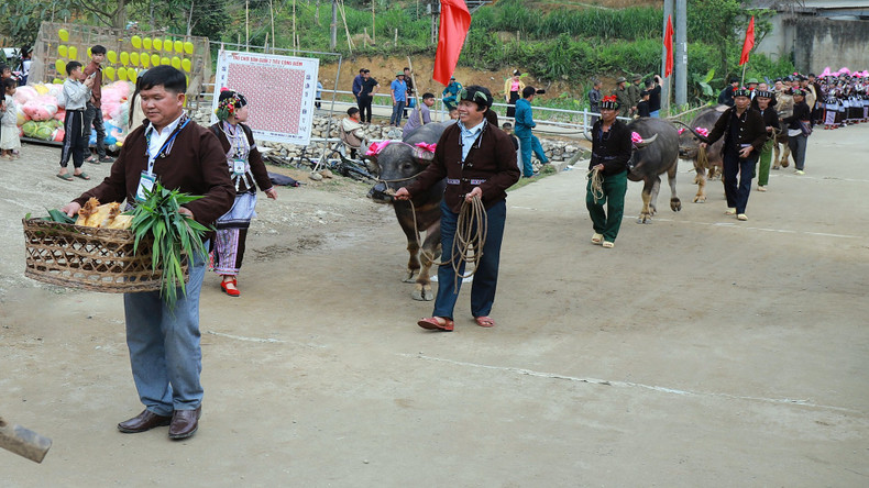 When the auspicious time comes, villagers follow the shamans to bring their buffaloes into the ceremonial area. When the auspicious time comes, villagers follow the shamans to bring their buffaloes into the ceremonial area.