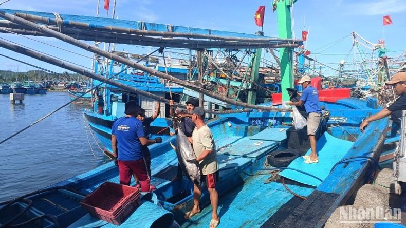 All seafood must be traceable to its source.