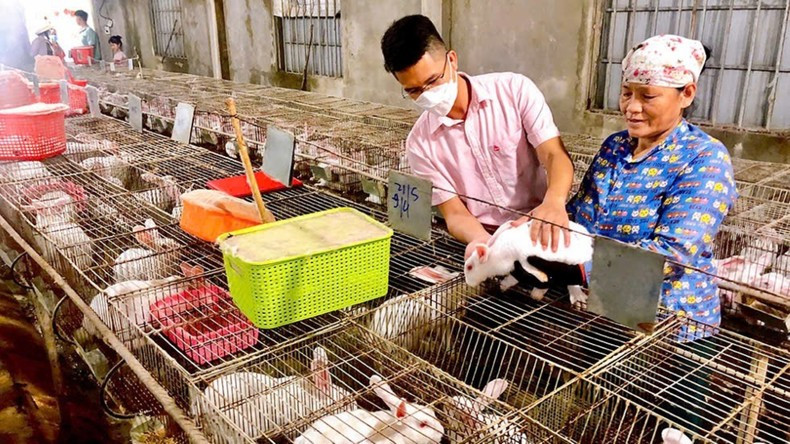 Many households have boldly taken out policy loans to expand production and achieve sustainable poverty reduction.