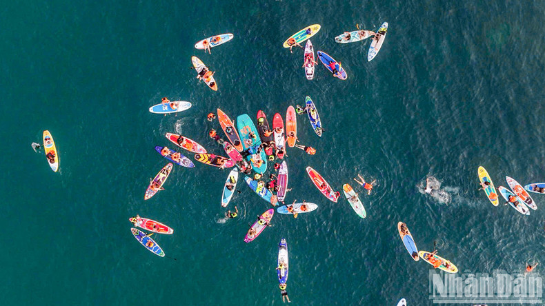 SUP boards bloom like “petals” on the sea surface. SUP boards bloom like “petals” on the sea surface.