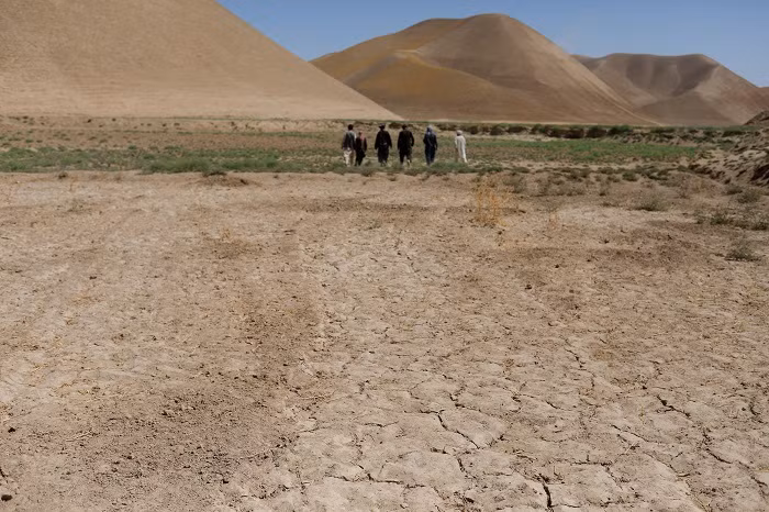 A parched field is pictured in Balkh province, Afghanistan, August 4, 2023. (File Photo: Reuters)