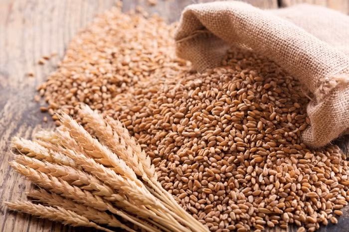 Italian farmers and consumers are demanding that the government limit foreign durum wheat imports to keep domestic producers in business and ensure greater food security.