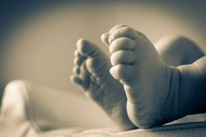 The World Health Organization (WHO) on Monday called for "immediate and decisive action" to ensure that every mother and baby receives the care they deserve.