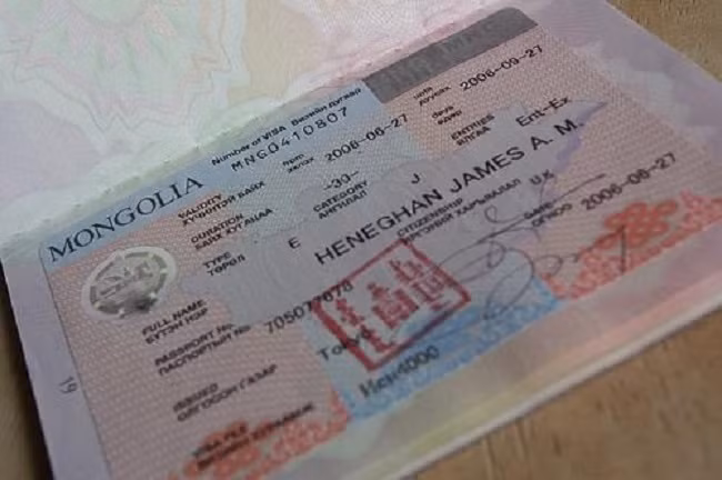 A total of 92,427 foreigners from various countries and regions were granted Mongolian electronic visas in 2024, marking an increase of 2.9 times year on year, local media reported on Wednesday, citing Mongolia's immigration agency.