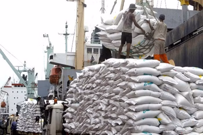 Myanmar exported over 2.4 million tons of rice and broken rice in the 2024-25 fiscal year, according to the Myanmar Rice Federation (MRF) on Tuesday. The country earned more than 1.1 billion USD from the exports during the fiscal year (April 2024-March 2025).