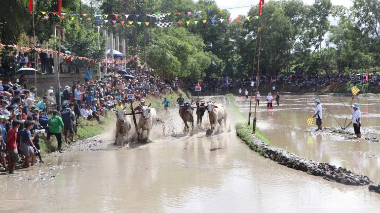The Bay Nui (Seven Mountains) bull racing festival