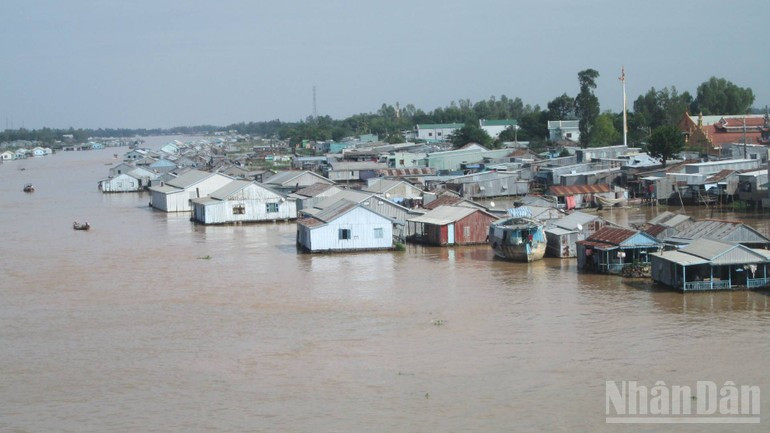 Floating fish farms at the Chau Doc River confluence attract visitors.