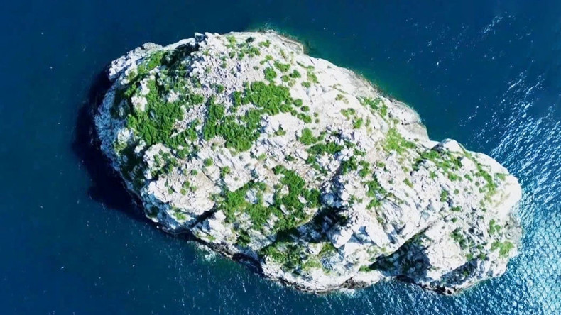 Hon Trung, part of Con Dao National Park, holds the national record for the highest seabird nesting density in Viet Nam, with an average of 4.88 eggs per square metre. VietKings officially presented the record certificate to the Con Dao National Park Management Board on November 28, 2024. hontrung1.jpg