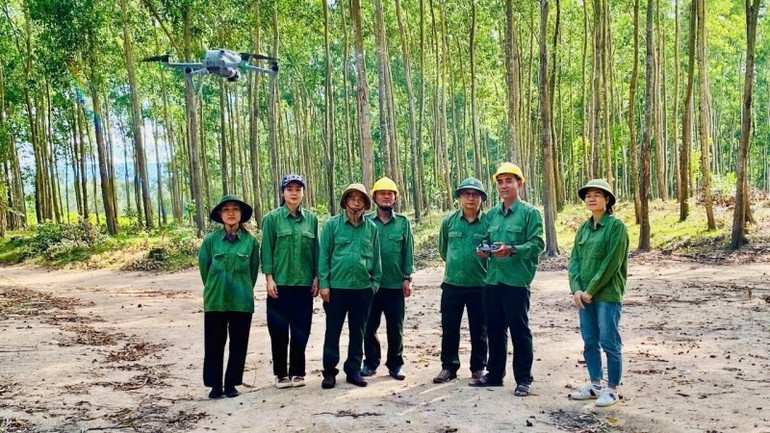 Large timber plantations are inspected by using drones. (Photo: GIZ/Vu Thanh) Large timber plantations are inspected by using drones. (Photo: GIZ/Vu Thanh)