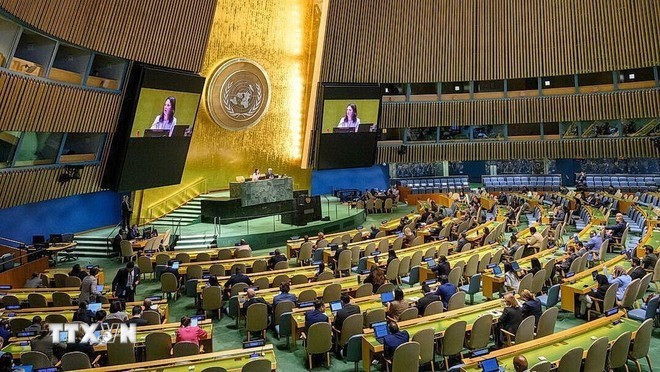 A session of the United Nations General Assembly. (Photo: VNA) img-6388.jpg