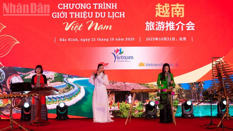 Vietnamese artists perform traditional musical instruments. Vietnamese artists perform traditional musical instruments.