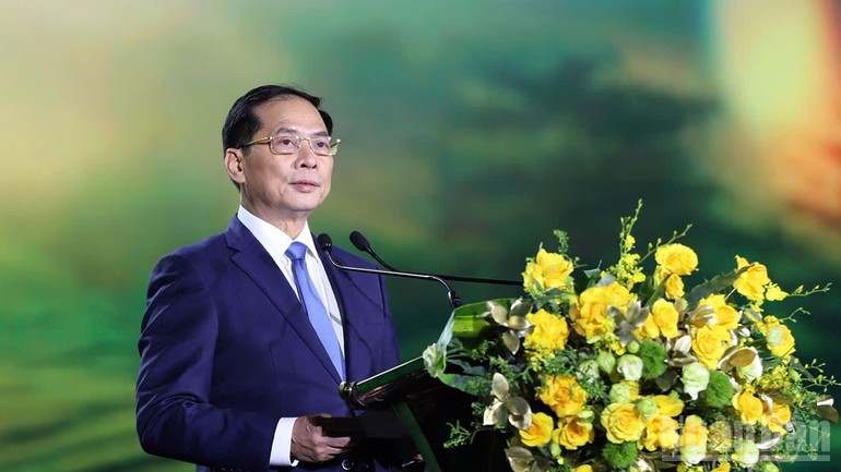 Deputy Prime Minister Bui Thanh Son delivers remarks at the opening ceremony.