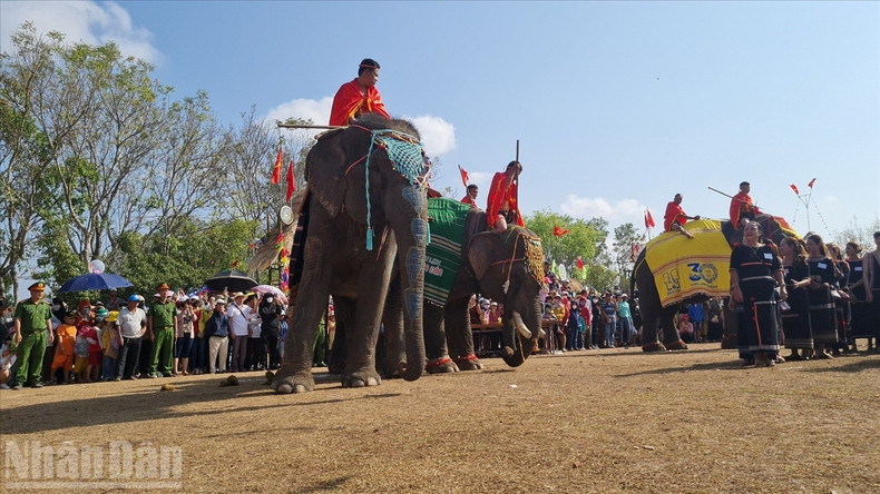 Dak Lak is also famous as a land of elephant hunting and domestication.