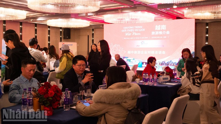 Vietnamese and Chinese tourism enterprises discuss to seek cooperation opportunities. a07-p2416368-1.jpg