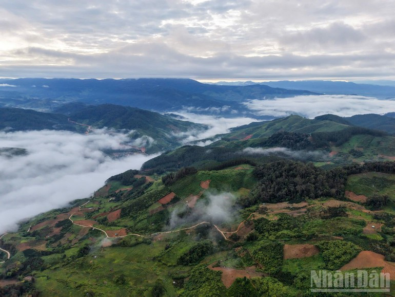 The western mountainous area of Quang Ngai Province boasts a rich and diverse ecosystem.