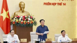 NA Chairman Vuong Dinh Hue speaks at the meeting. (Photo: VNA)
