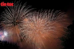 Illustrative image (Photo: VNA)