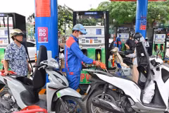 Several air quality indicators improved significantly after one month of adopting biofuel petrol.