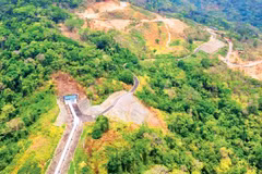 Forest development in Phan Son Commune, Lam Dong Province. (Photo: THANH HAI)