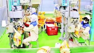 Packaging rice for export at the factory of Thao Son One Member Limited Liability Food Company in An Giang Province. (Photo: VNA)