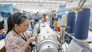 Apparel is a major contributor to Vietnam's exports (Photo: VNA)