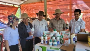 Authorities in Dak Lak Province guide farmers in the use of biological plant protection products. (Photo: Hoai Anh)