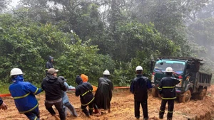 Workers of the Quang Tri power company are overcoming difficulties to restore electricity supply to all remote villages before December 15. (Photo: VNA)
