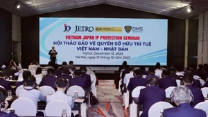 An overview of the “Viet Nam–Japan Intellectual Property Protection” workshop.