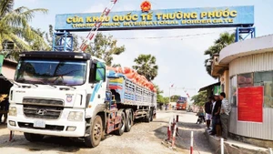 Inspection of goods at Thuong Phuoc International Border Gate in Dong Thap Province.