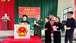 Vietnamese voters cast their ballots (Photo: VNA)